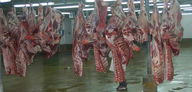 Abattoirs Casa